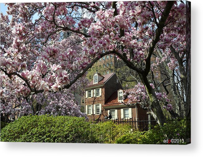 Magnolia Garden Acrylic Print featuring the photograph Magnolia Garden 2013 by Andrew Dinh