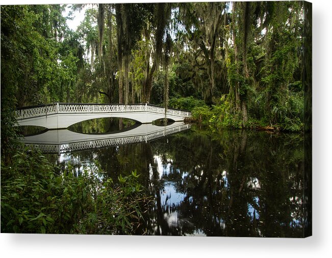 Swamp Acrylic Print featuring the photograph Magnolia Plantation And Gardens by Doug McPherson