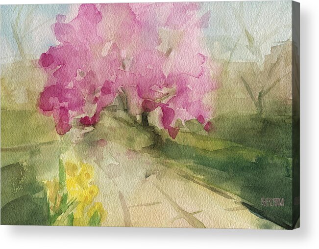 Landscape Acrylic Print featuring the painting Magnolia Tree Central Park Watercolor Landscape Painting by Beverly Brown Prints