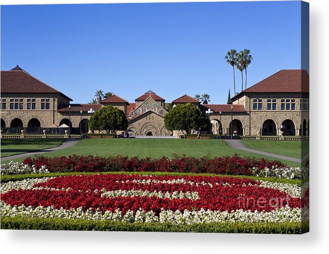 Stanford University Acrylic Print featuring the photograph Main Quad Stanford California by Jason O Watson