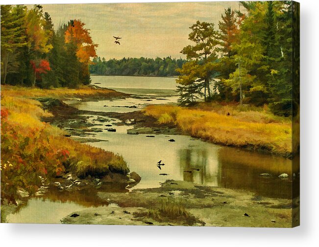 Maine Acrylic Print featuring the photograph Maine Wetlands by Cathy Kovarik