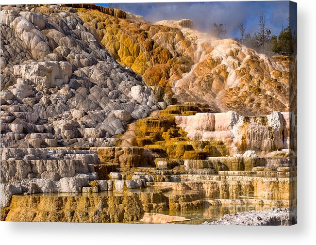 Yellowstone Acrylic Print featuring the photograph Mammoth Hot Spring by Steve Stuller