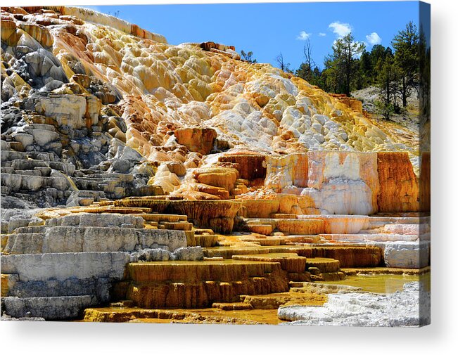 Scenics Acrylic Print featuring the photograph Mammoth Hot Springs, Yellowstone by Dennis Macdonald