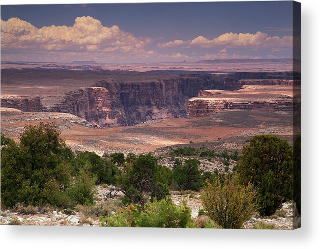 Tranquility Acrylic Print featuring the photograph Marble Canyon With Trees In Foreground by Timothy Hearsum