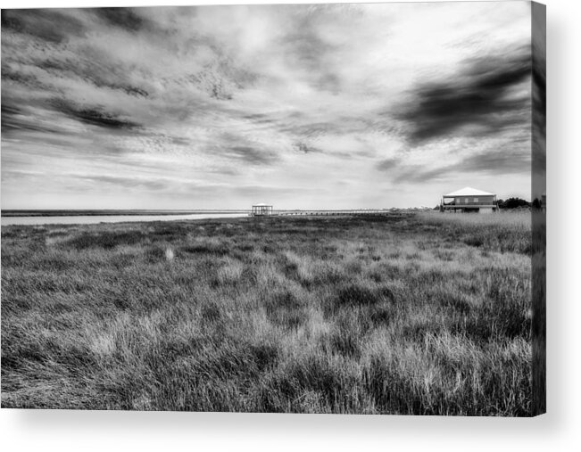 Gulf Of Mexico Acrylic Print featuring the photograph Marsh Life by Raul Rodriguez