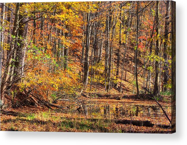 Maryland Acrylic Print featuring the photograph Maryland Country Roads - Reflection Amidst the Colorful Noise No. 1 - Catoctin Mountains by Michael Mazaika
