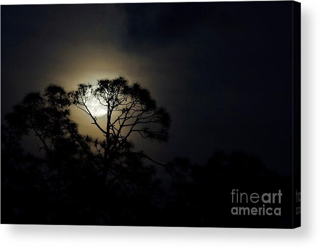 Moon Acrylic Print featuring the photograph May's Flower Moon by Lynda Dawson-Youngclaus