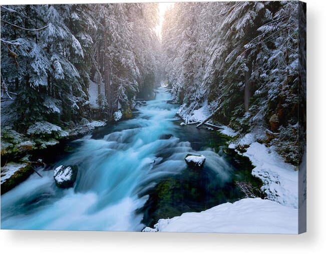Mckenzie Acrylic Print featuring the photograph McKenzie Delight by Andrew Kumler