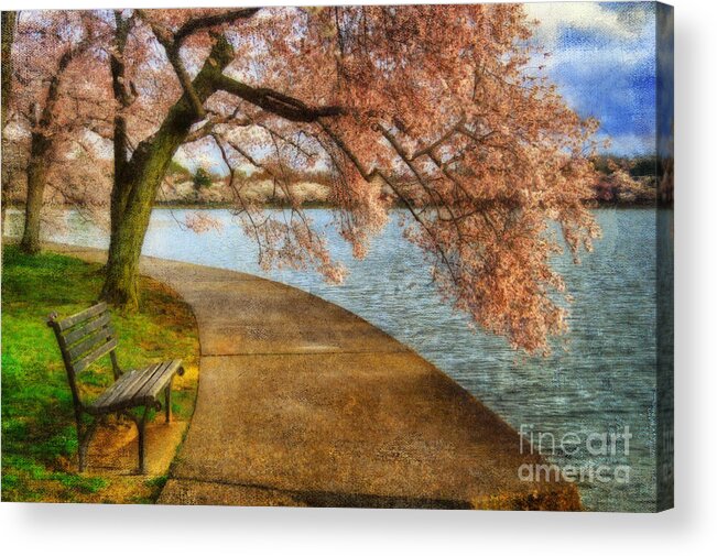 Bench Acrylic Print featuring the photograph Meet Me At Our Bench by Lois Bryan