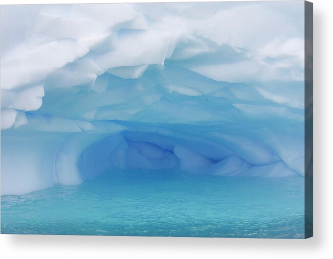 00761803 Acrylic Print featuring the photograph Melting Iceberg Cuverville Island by Suzi Eszterhas