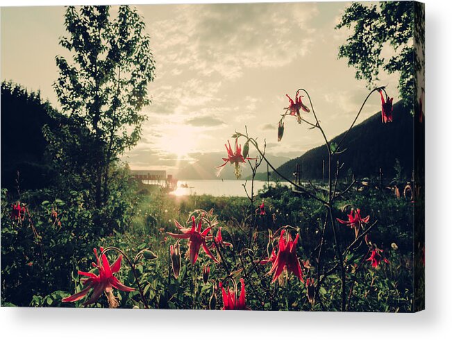 Alaska Acrylic Print featuring the photograph Memories of Summer by Michele Cornelius
