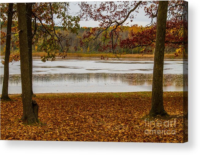 Mendon Ponds Acrylic Print featuring the photograph Mendon Ponds by William Norton