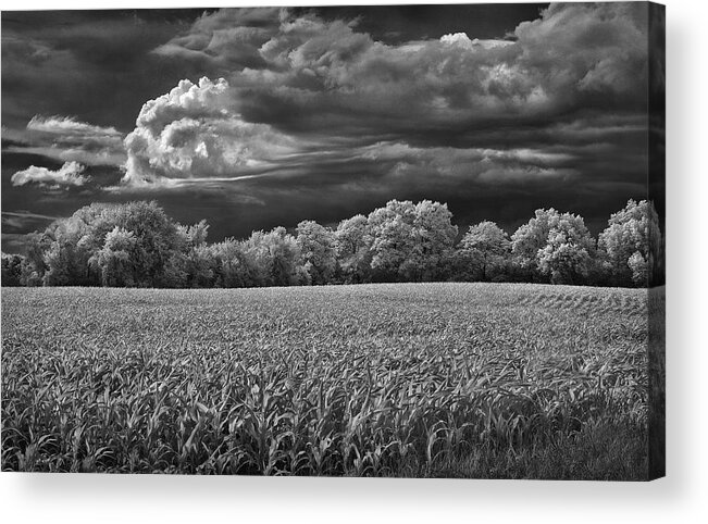 Steve White Acrylic Print featuring the photograph Michigan Countryside by Steve White