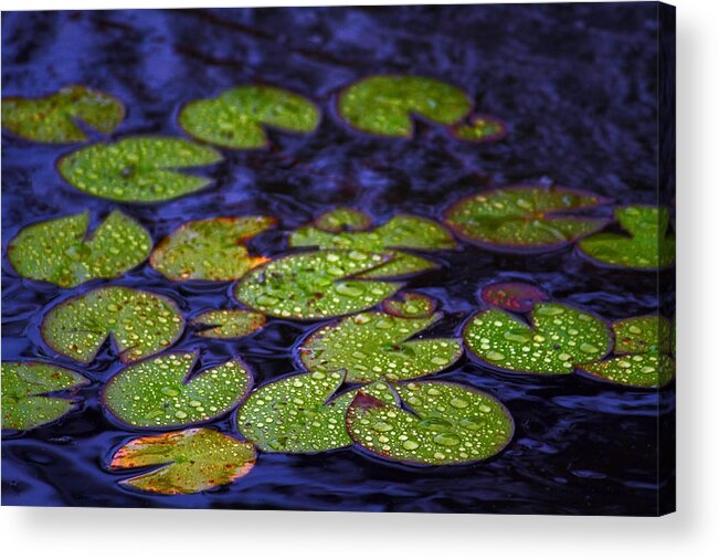 Pond Acrylic Print featuring the digital art Midnight Pond with Lily Pads by William Rockwell