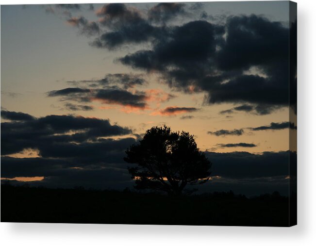 Sunset Acrylic Print featuring the photograph Farm Pasture Midnight Sun by Neal Eslinger