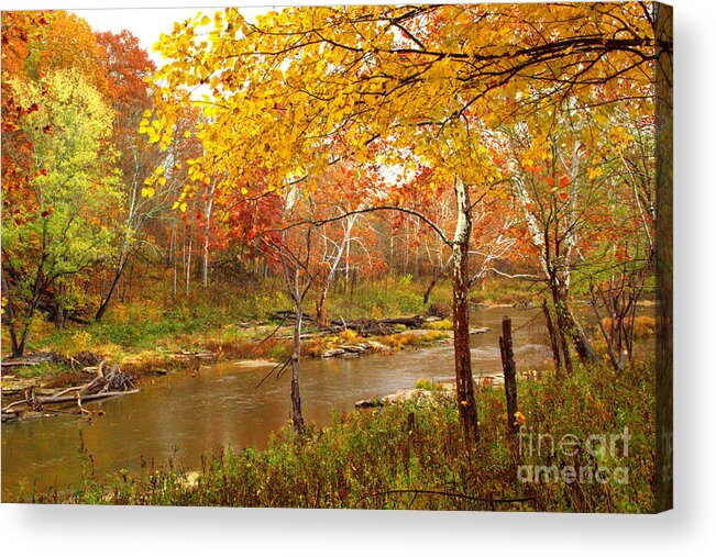 Creeks Acrylic Print featuring the photograph Mill Creek 1 by Jim McCain