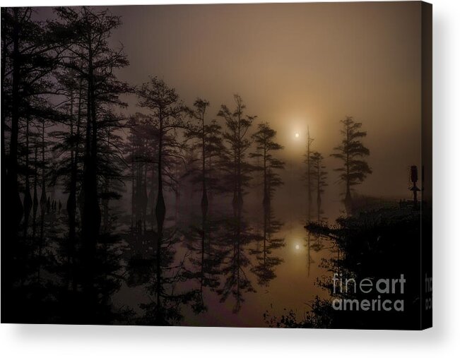 Swamp Acrylic Print featuring the photograph Mississippi Foggy Delta Swamp at Sunrise by T Lowry Wilson
