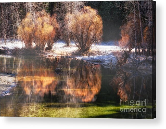 Yosemite Acrylic Print featuring the photograph Mist and Reflections by Anthony Michael Bonafede