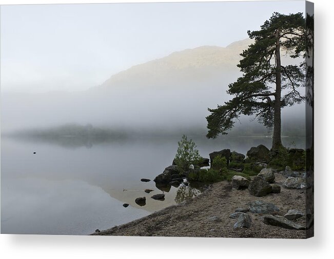 Mist Acrylic Print featuring the photograph Misty morning by Gary Eason