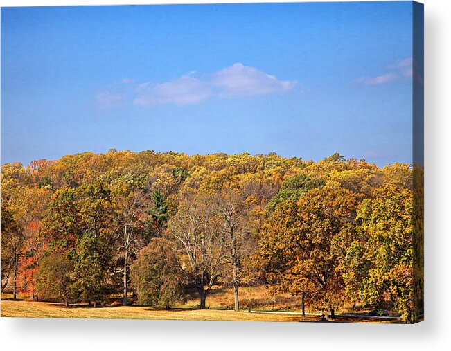 Autumn Acrylic Print featuring the digital art Mixed Fall by Leeon Photo