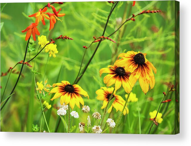 Flower Acrylic Print featuring the photograph Mixed Flowers Bloom In A Garden by Robert L. Potts