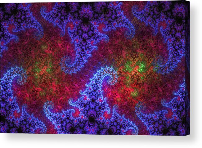 Fractal Acrylic Print featuring the digital art Mobius Unleashed by Gary Blackman