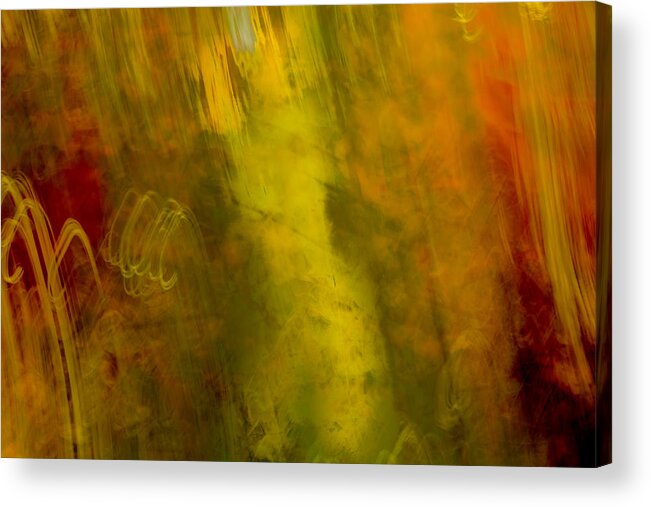 Abstracts Acrylic Print featuring the photograph Mojo by Darryl Dalton