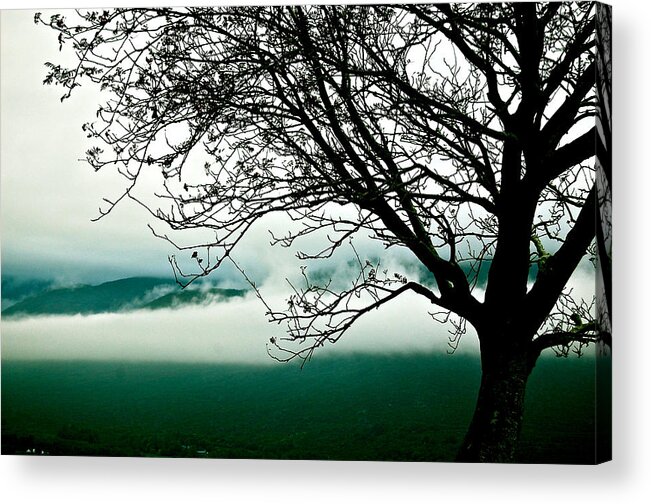 Tree Acrylic Print featuring the photograph Moment by HweeYen Ong