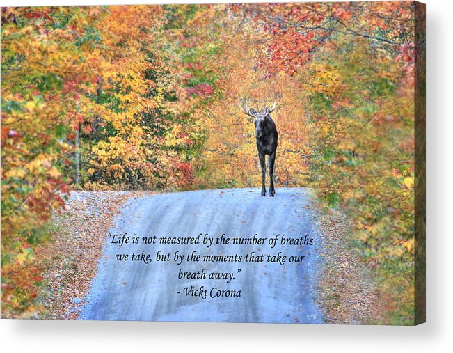 Vicki Corona Acrylic Print featuring the photograph Moments That Take Our Breath Away by Shelley Neff