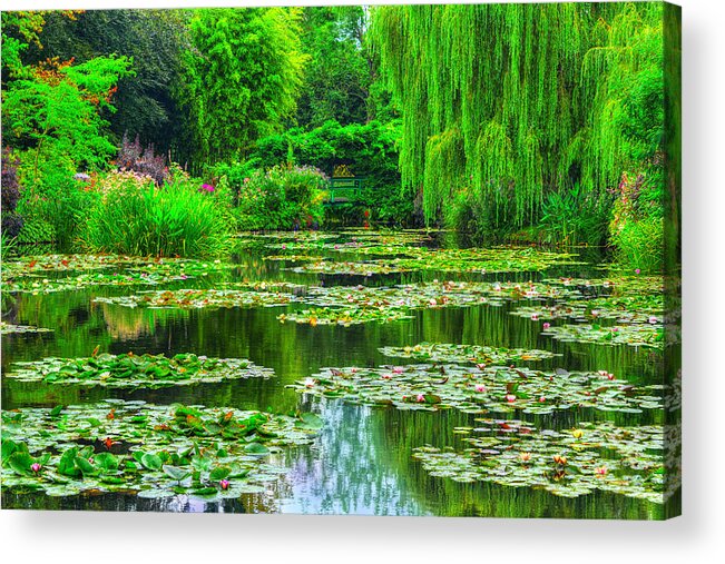 Monet Acrylic Print featuring the photograph Monet's Lily Pond by Midori Chan