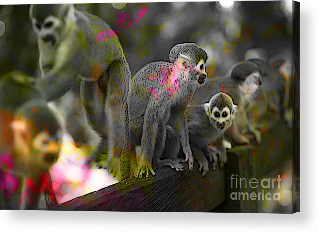 Monkeys Acrylic Print featuring the mixed media Monkeys by Marvin Blaine