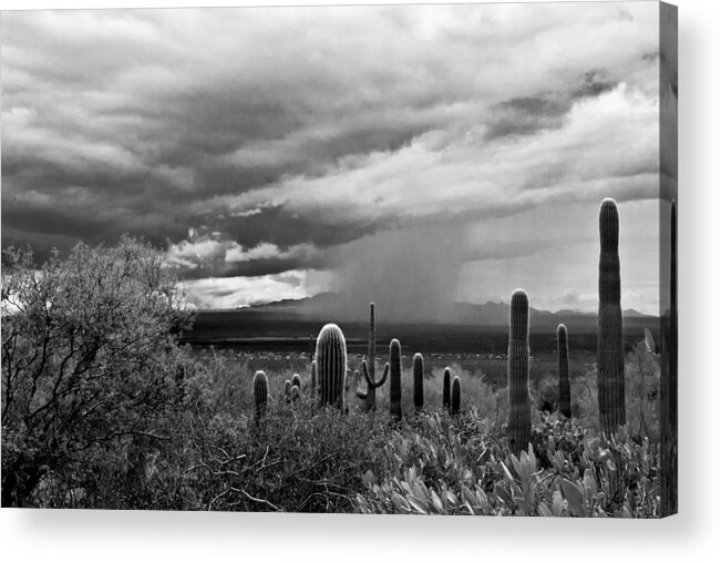 Arizona Acrylic Print featuring the photograph Monsoon by Carol Erikson