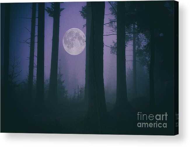 Landscape Acrylic Print featuring the photograph Moon and Fog in a Forest by Sabine Jacobs