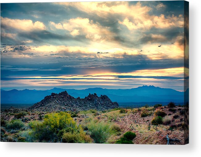 Fred Larson Acrylic Print featuring the photograph Morning Desert Glow by Fred Larson