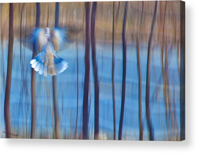 Poetry Acrylic Print featuring the photograph Morning Dove by Theresa Tahara