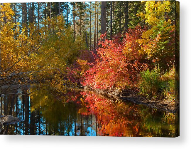 Landscape Acrylic Print featuring the photograph Morning Glow by Jonathan Nguyen