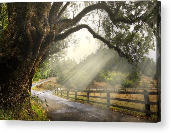 Clouds Acrylic Print featuring the photograph Morning Light by Debra and Dave Vanderlaan