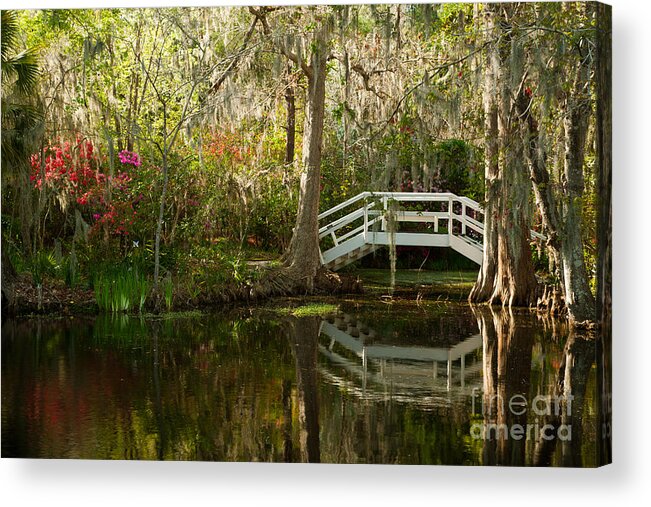 Landscape Acrylic Print featuring the photograph Morning Light over the White Bridge by Iris Greenwell