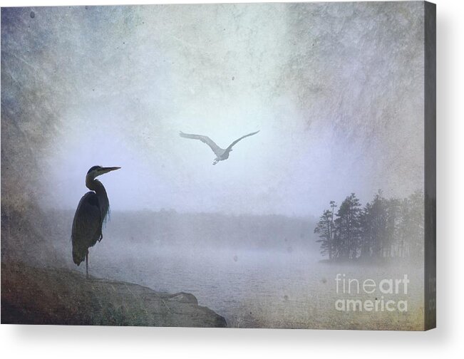 Mist Acrylic Print featuring the photograph Morning Mist Along The Masagee by The Stone Age