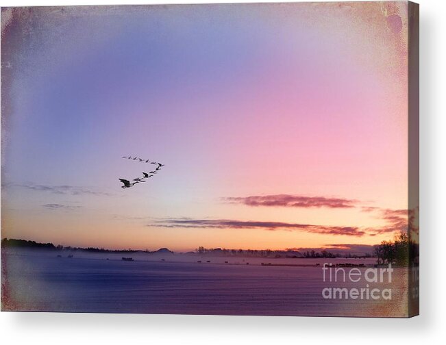 Morning Acrylic Print featuring the photograph Morning On The Range by The Stone Age