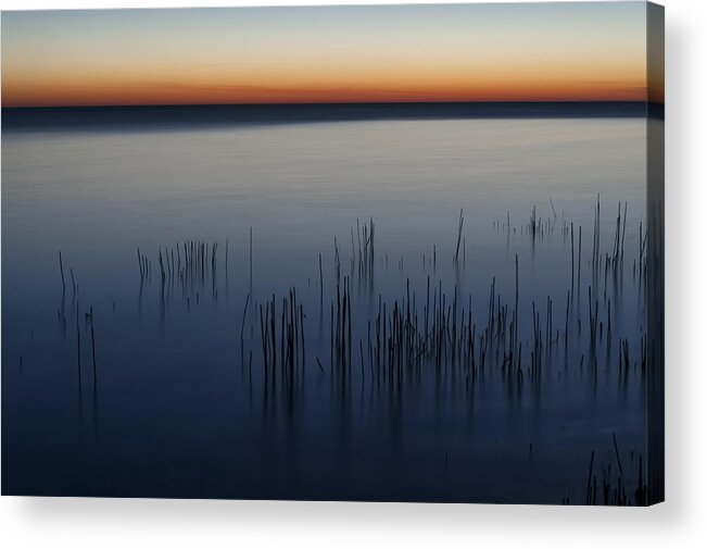 Dawn Acrylic Print featuring the photograph Morning by Scott Norris