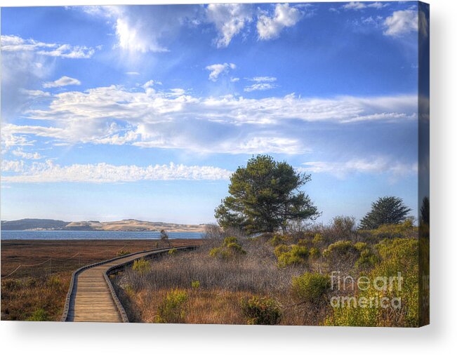 Landscape Scenes Acrylic Print featuring the photograph Morro Bay Boardwalk by Mathias 