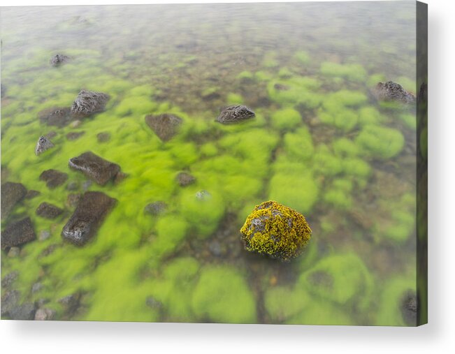 Flpa Acrylic Print featuring the photograph Mossy Stone In Lake Thingvallavatn by Bill Coster