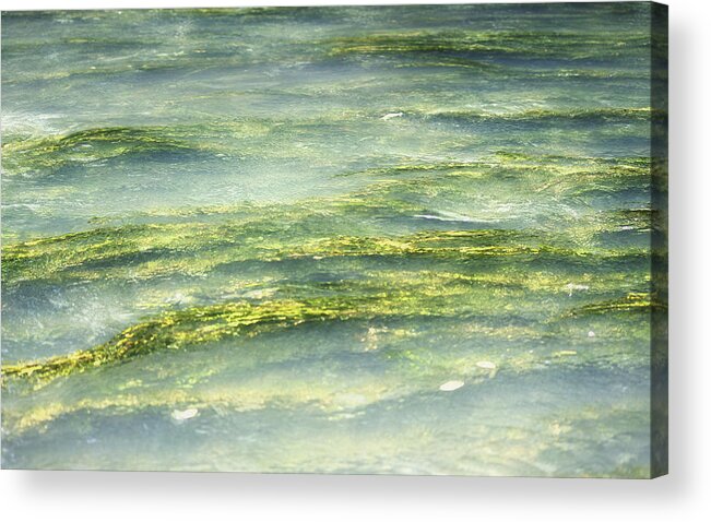 Water Acrylic Print featuring the photograph Mossy Tranquility by Melanie Lankford Photography