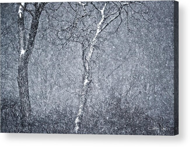 Flatlandsfoto Acrylic Print featuring the photograph Mother Nature's Howl by Joan Davis