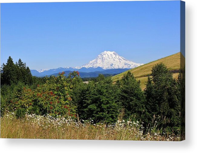  Acrylic Print featuring the photograph Mount Rainier by Ronald Hanson