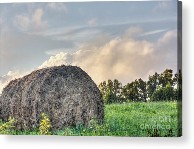 Mountain Acrylic Print featuring the photograph Mountain Pasture Hay Bale by Ules Barnwell