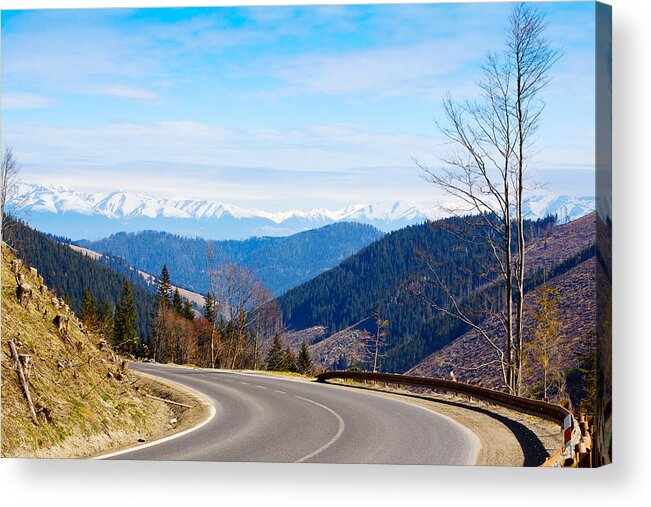 Photography Acrylic Print featuring the photograph Mountain Road In A Valley, Tatra by Panoramic Images