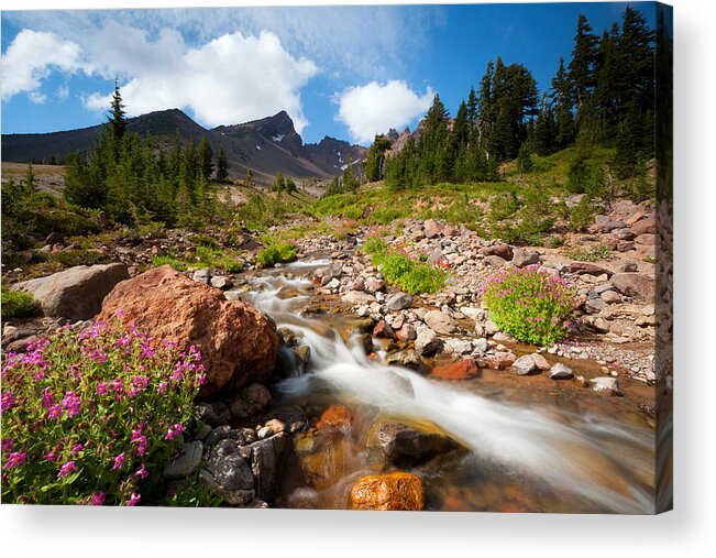 Snow Melt Acrylic Print featuring the photograph Mountain Runoff by Andrew Kumler