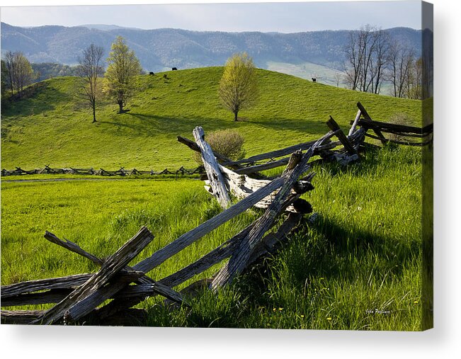 Agriculture Acrylic Print featuring the photograph Mountain Spring by John Pagliuca